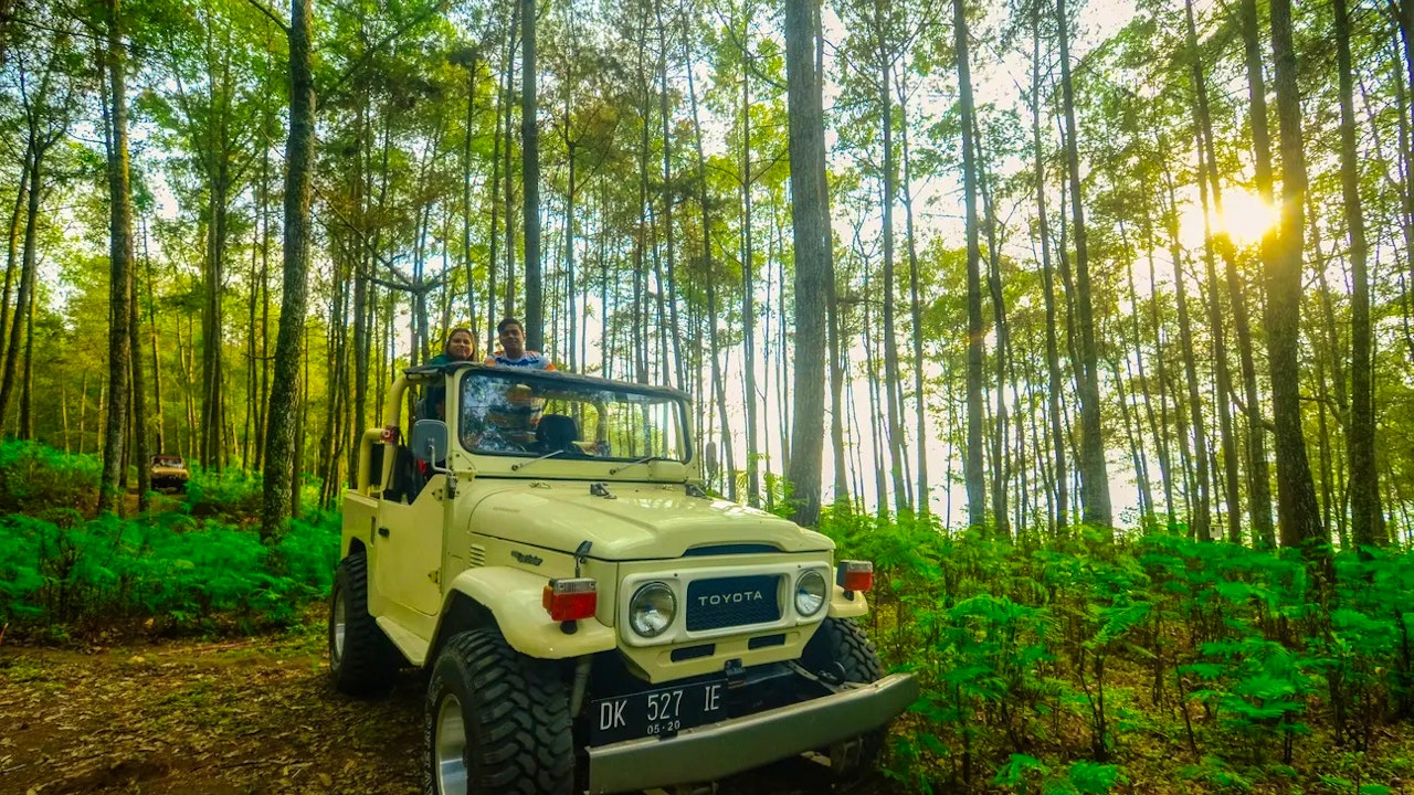 4WD Land Rover Safari at Munduk Wilderness
