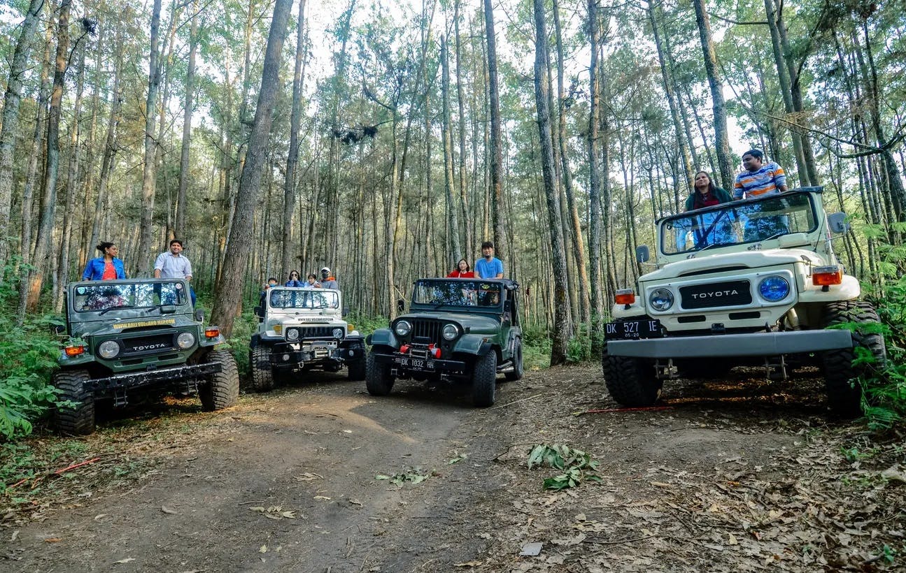 4WD Land Rover Safari at Munduk Wilderness Review