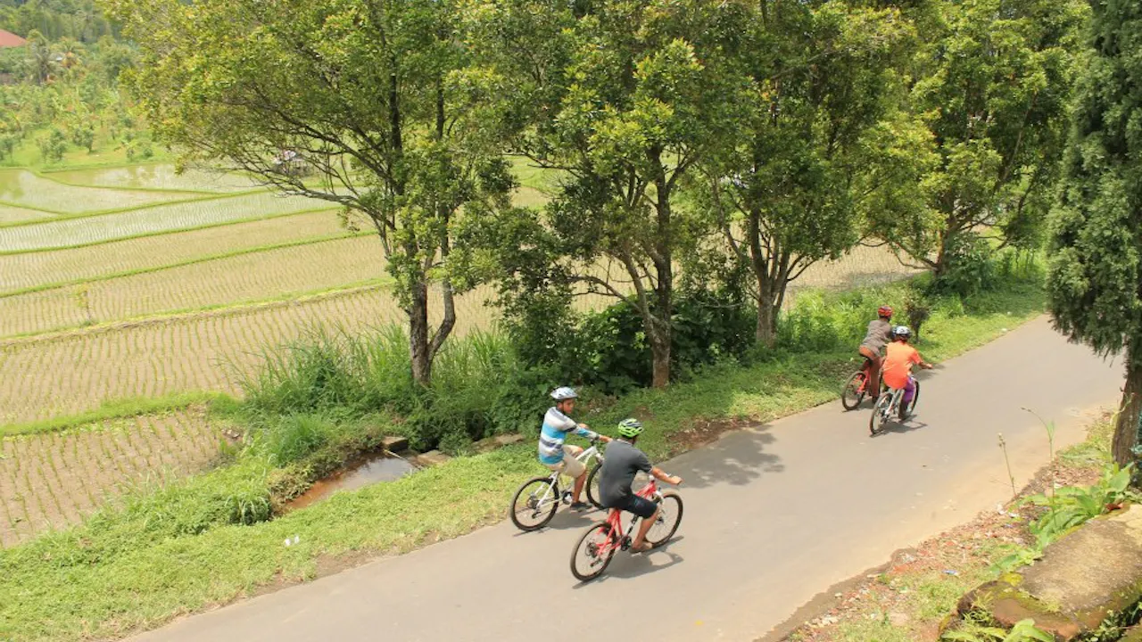 Green Hillside Cycling at Bali Ticket