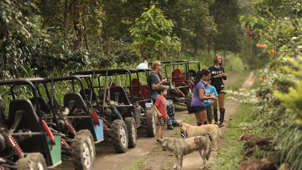 Green Hillside Cycling at Bali
