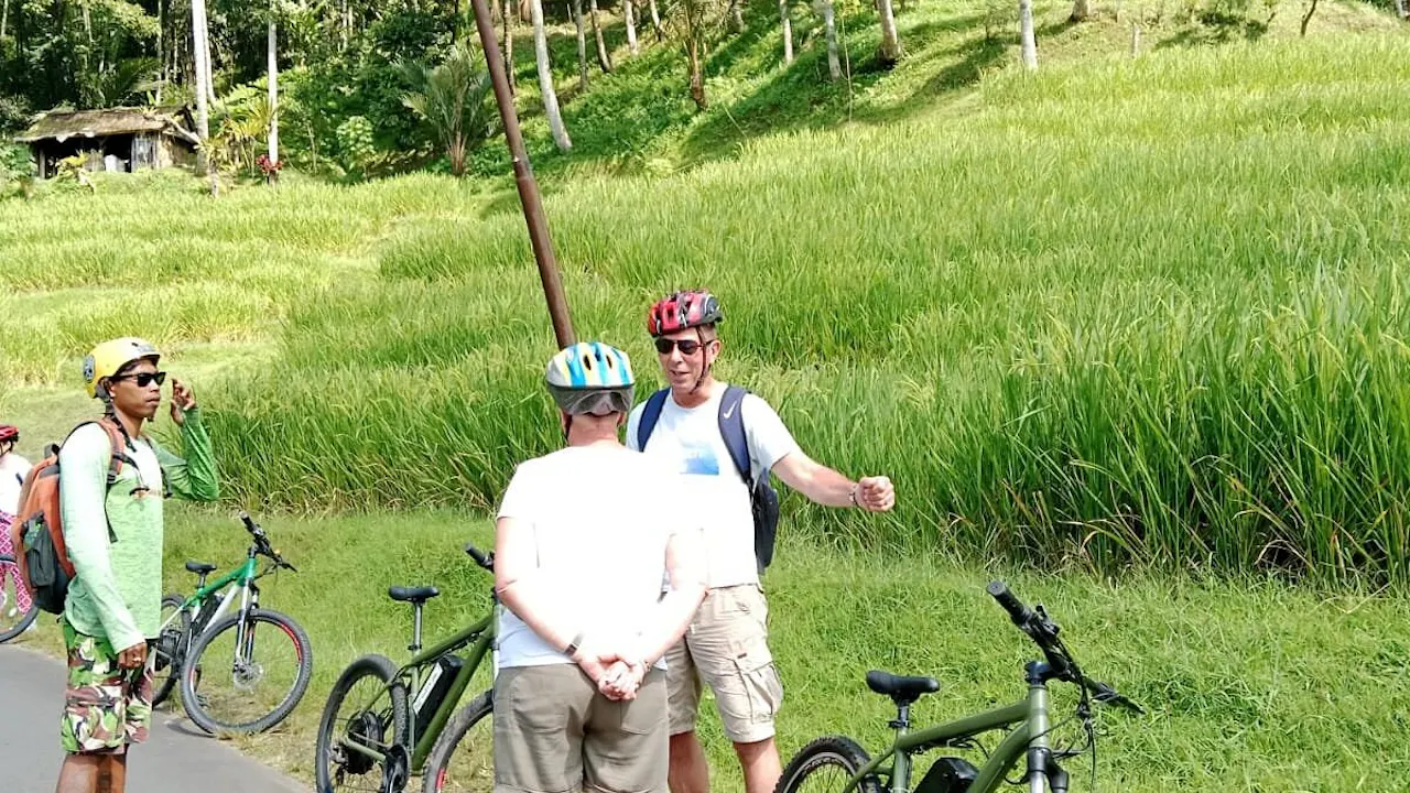 Green Hillside Cycling at Bali Discount