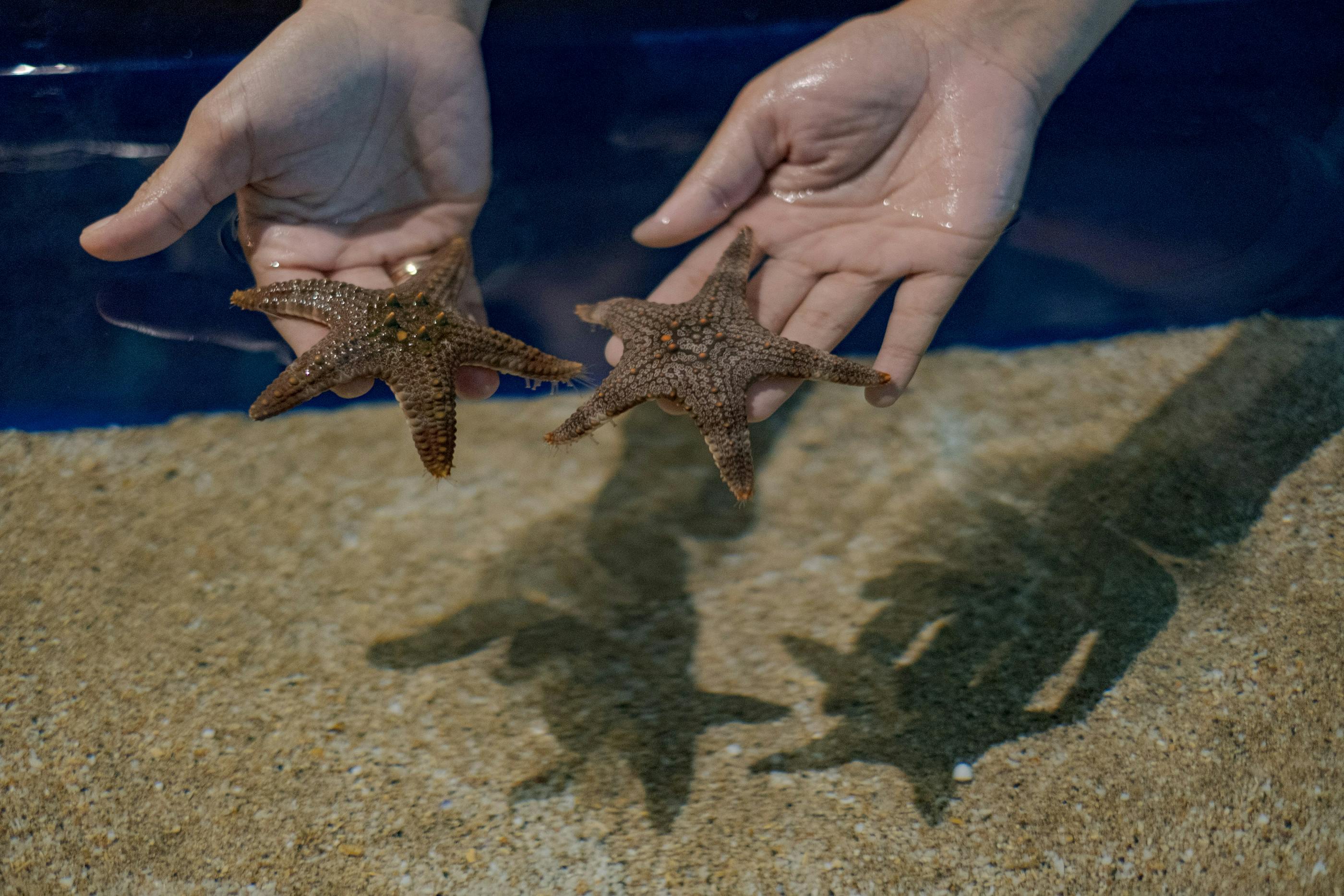 Marine Adventure and Safari in Bali Location