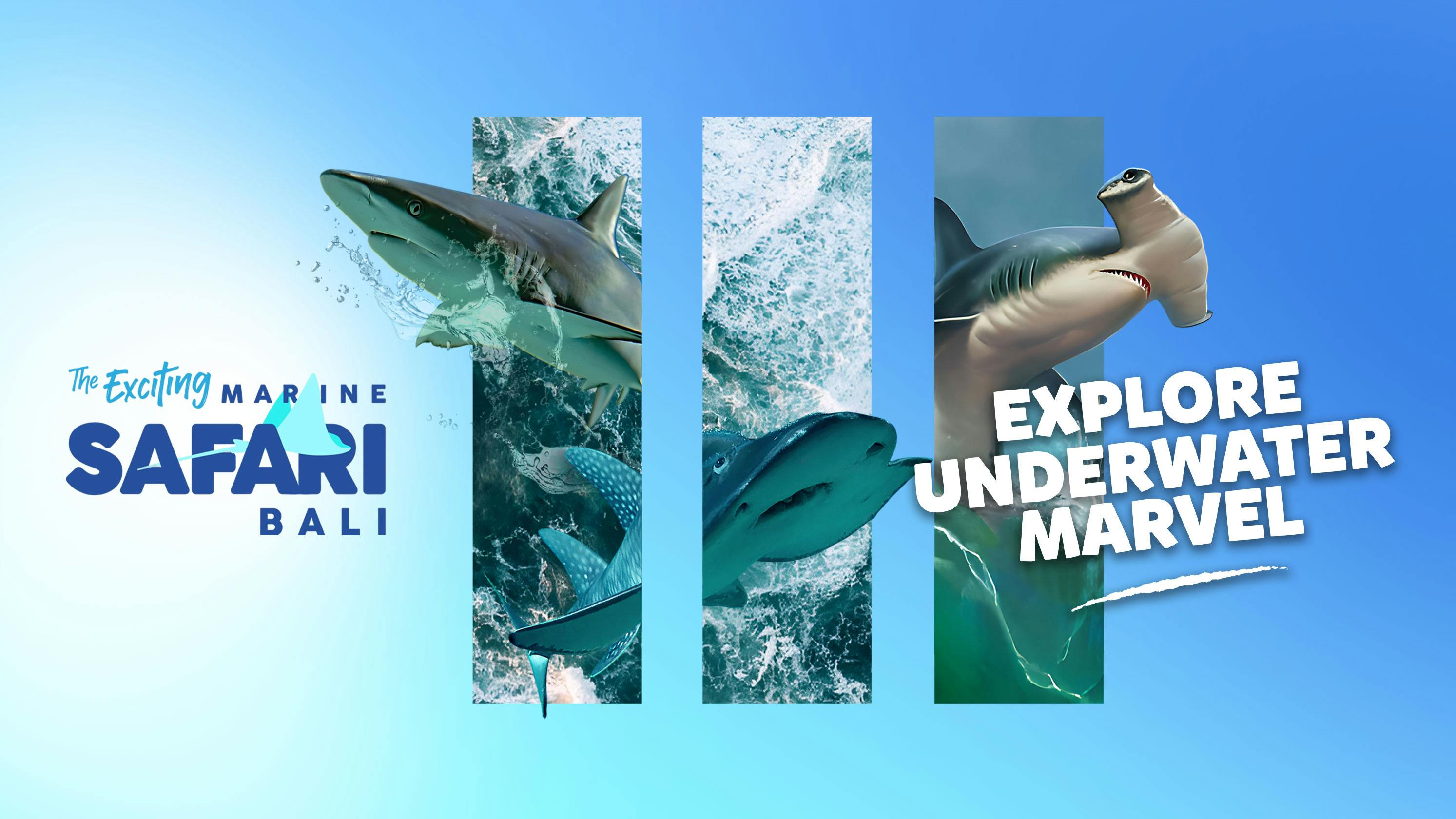 Marine Adventure and Safari in Bali Ticket