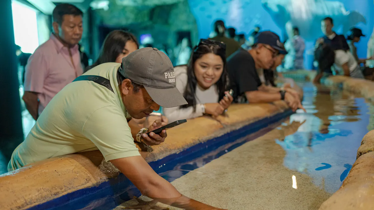 Marine Adventure and Safari in Bali Category