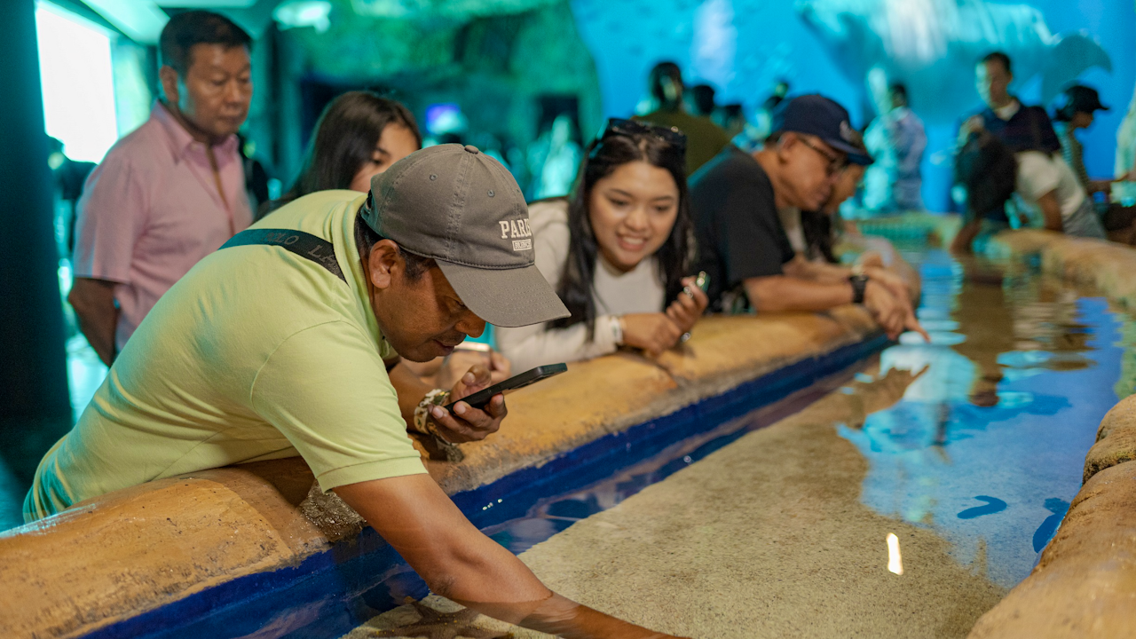 Marine Adventure and Safari in Bali Category