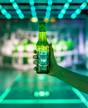 Heineken Experience