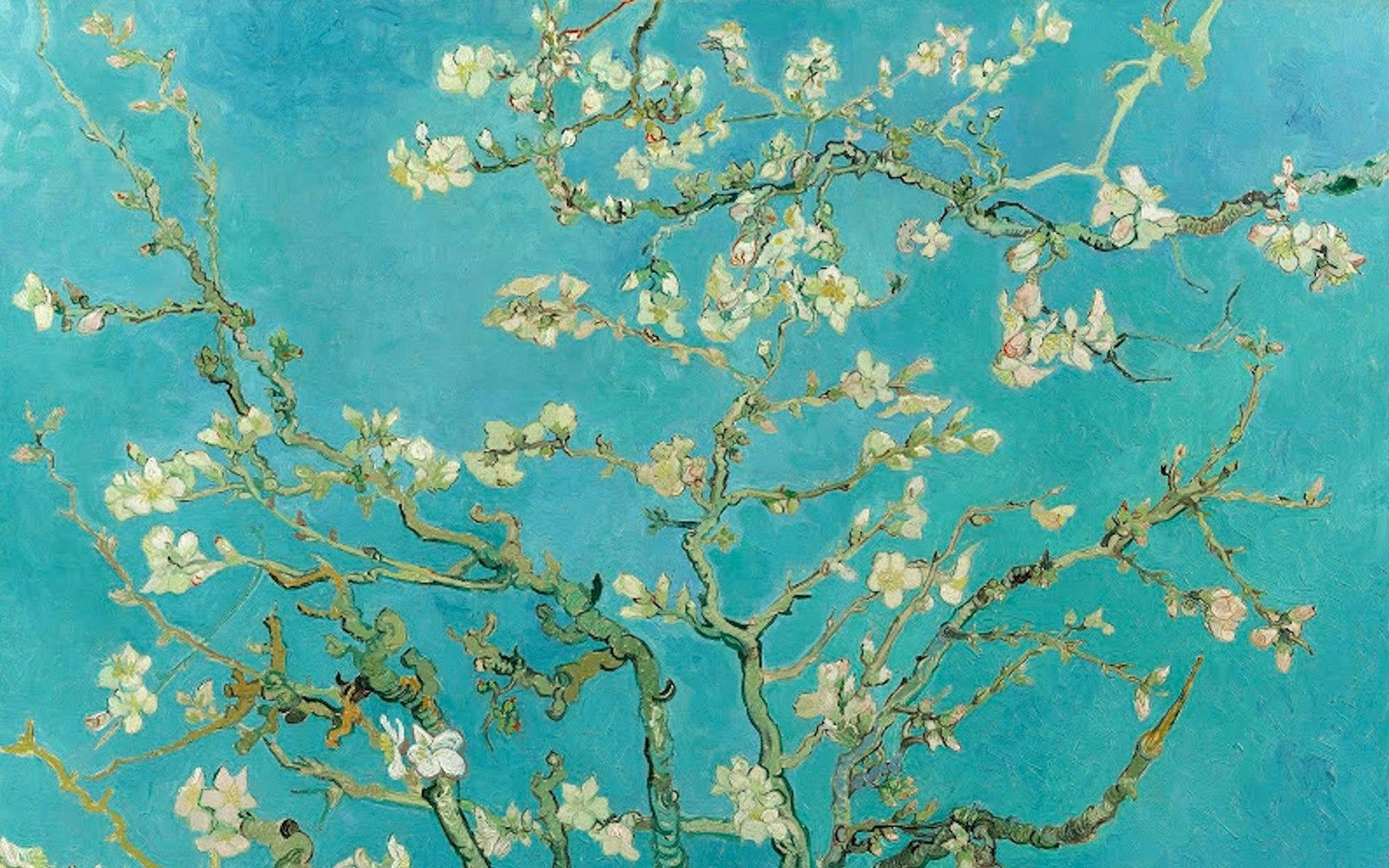 Van Gogh Museum Ticket Location