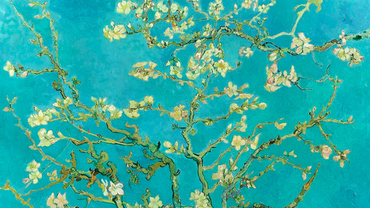 Van Gogh Museum Ticket Location