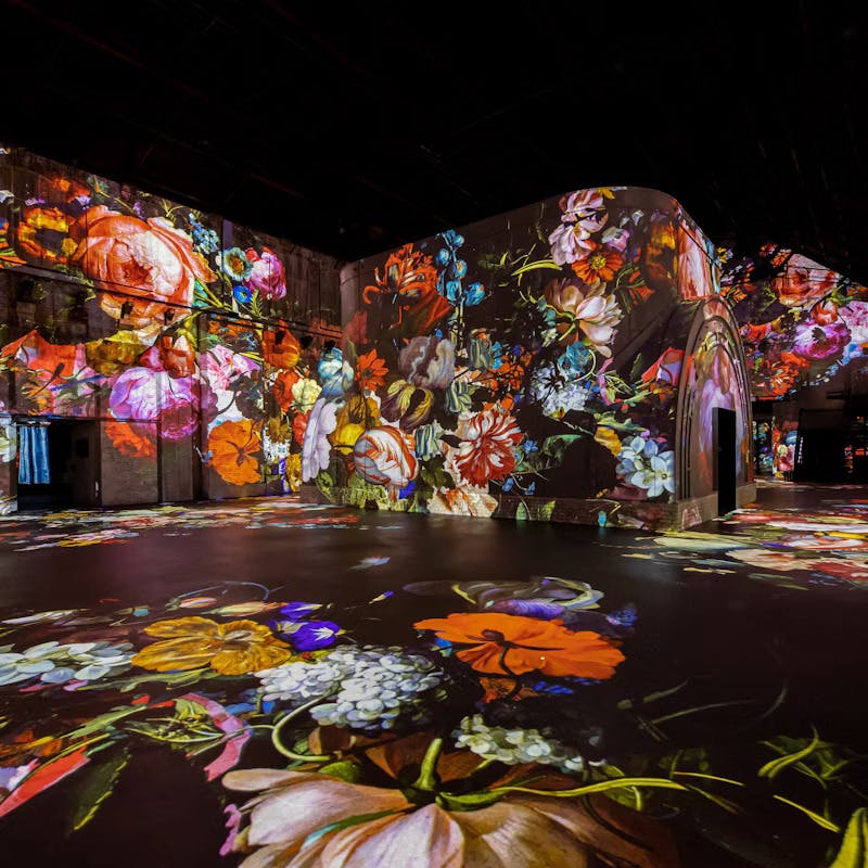 Fabrique des Lumières Main Exhibition Category