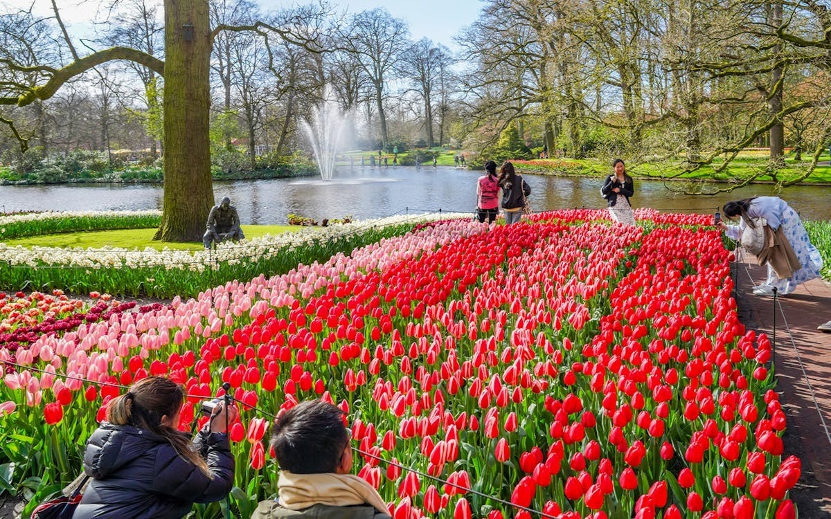Keukenhof Tulip Garden Amsterdam Price