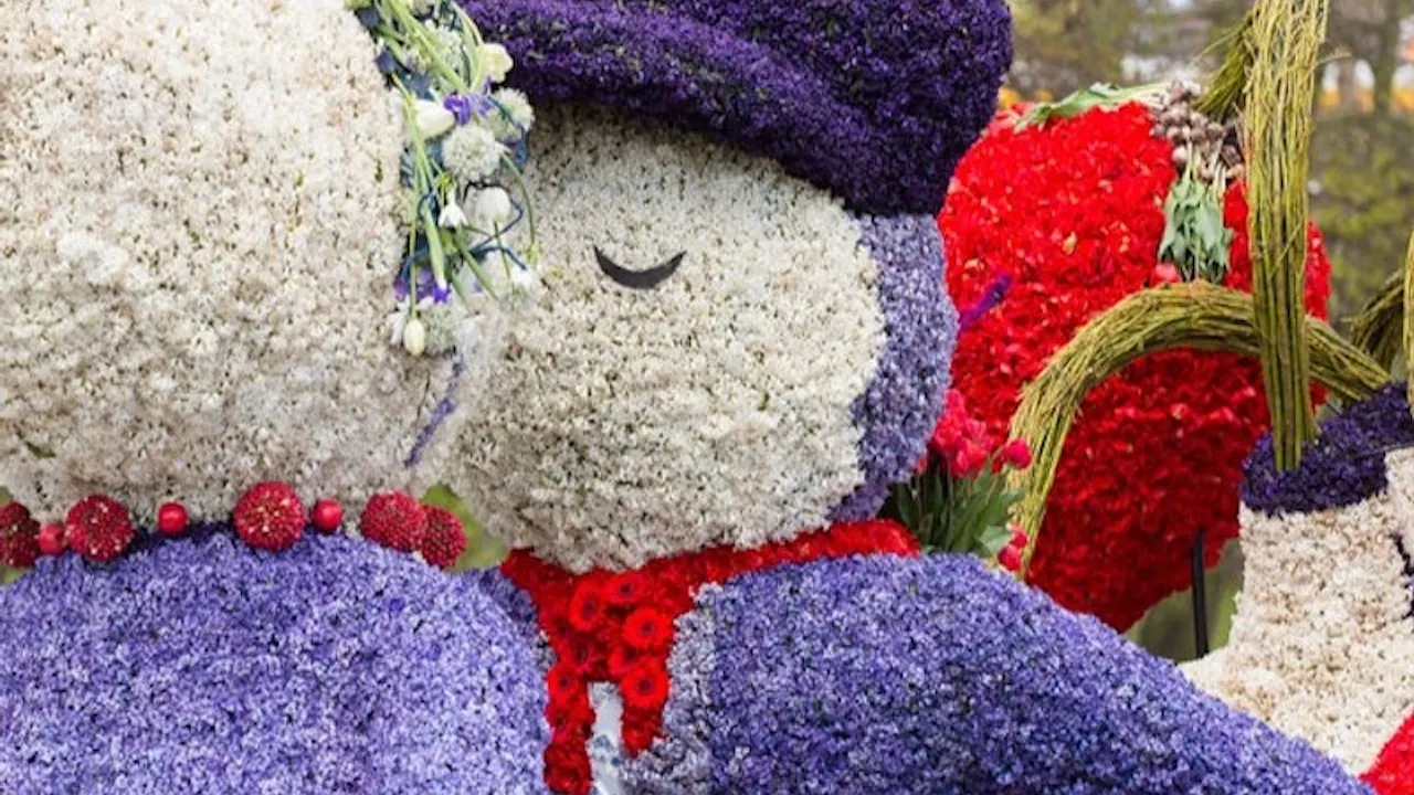 Keukenhof Tulip Garden Amsterdam Ticket