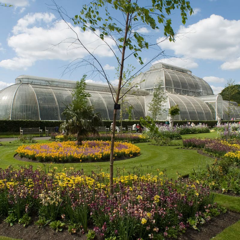 Kew Garden London Entry Tickets Ticket