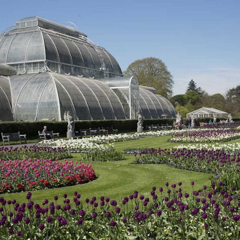 Kew Garden London Entry Tickets 