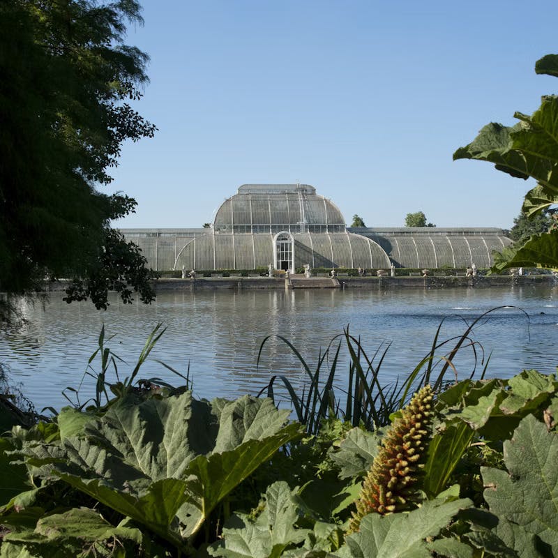 Kew Garden London Entry Tickets 