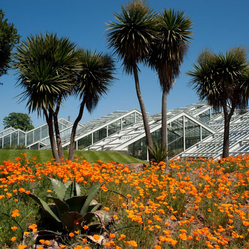Kew Garden London Entry Tickets Review