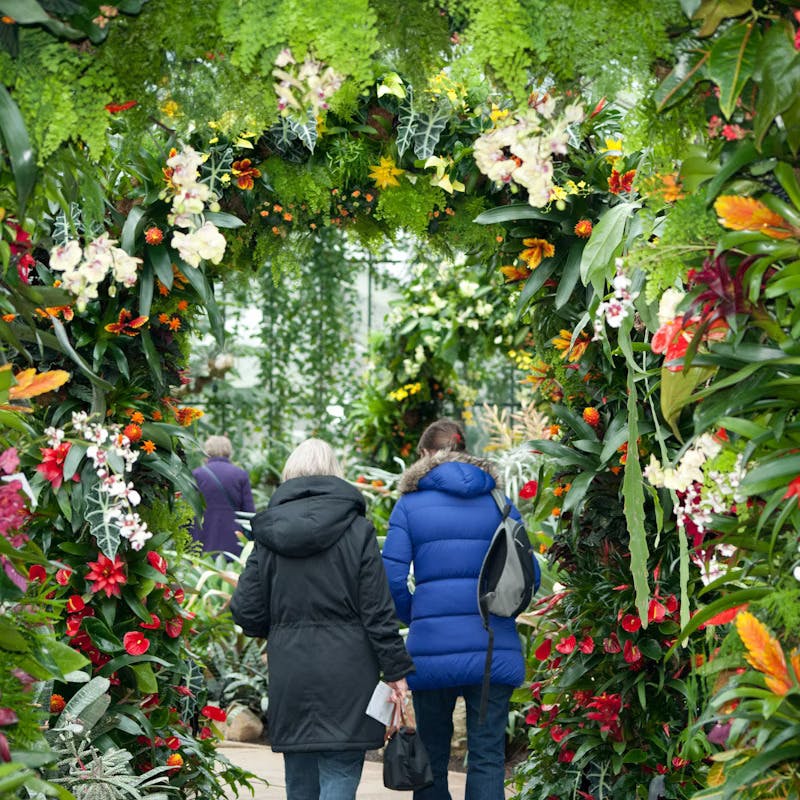 Kew Garden London Entry Tickets Discount