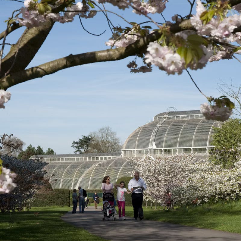 Kew Garden London Entry Tickets Category