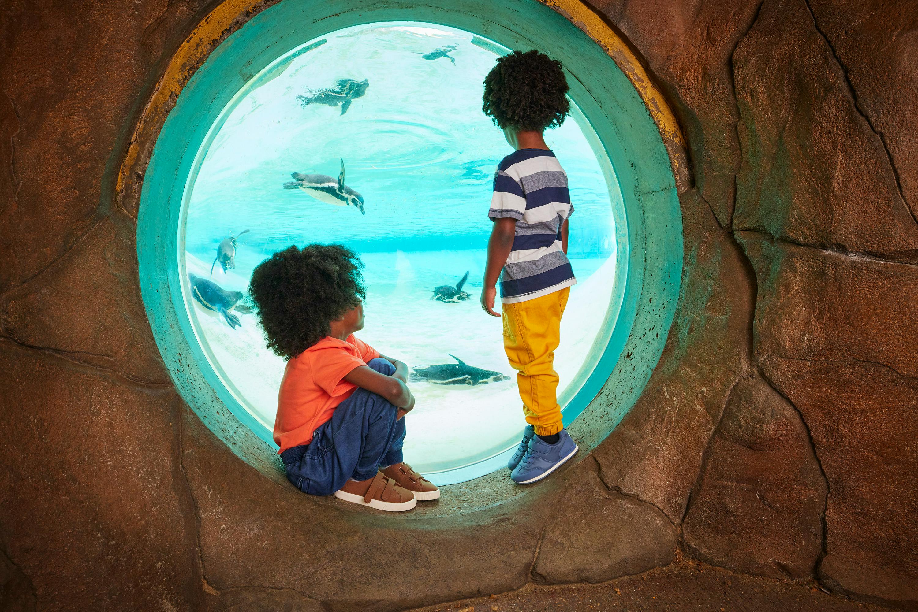 London Zoo Tickets Category