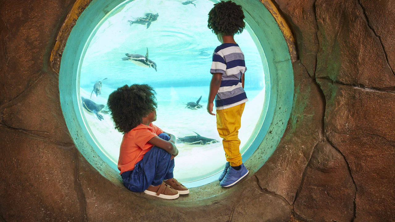 London Zoo Tickets Category