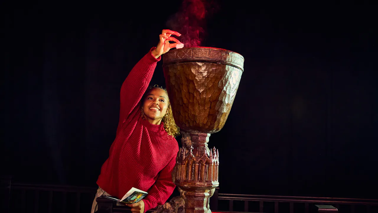 Harry Potter Warner Bros. Studio Ticket