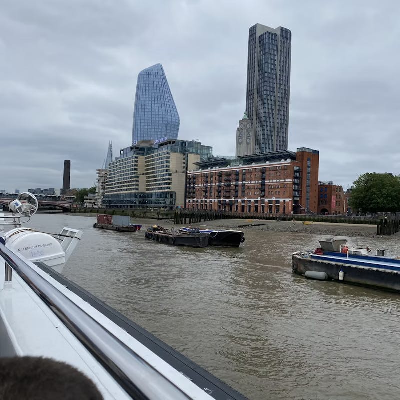 Hop-on-Hop-off River 24HR London Cruise  Category