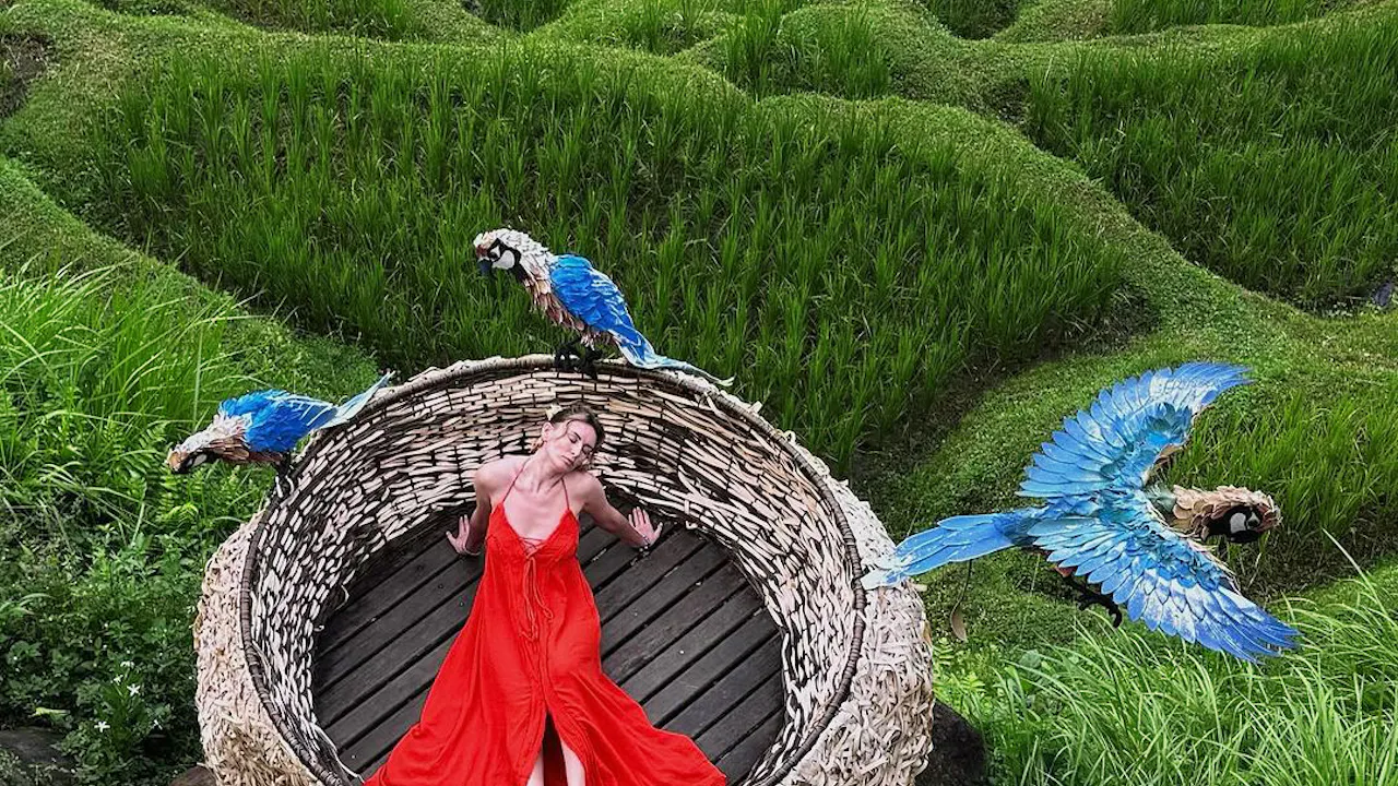 Alas Harum Day Pass, Swing, Sky Bike & Flying Fox Discount