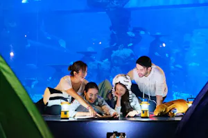 Jakarta Aquarium Safari Tickets