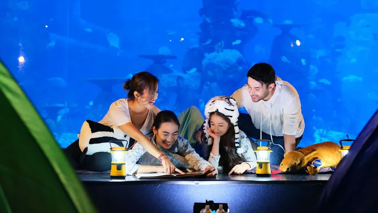 Jakarta Aquarium Safari Tickets