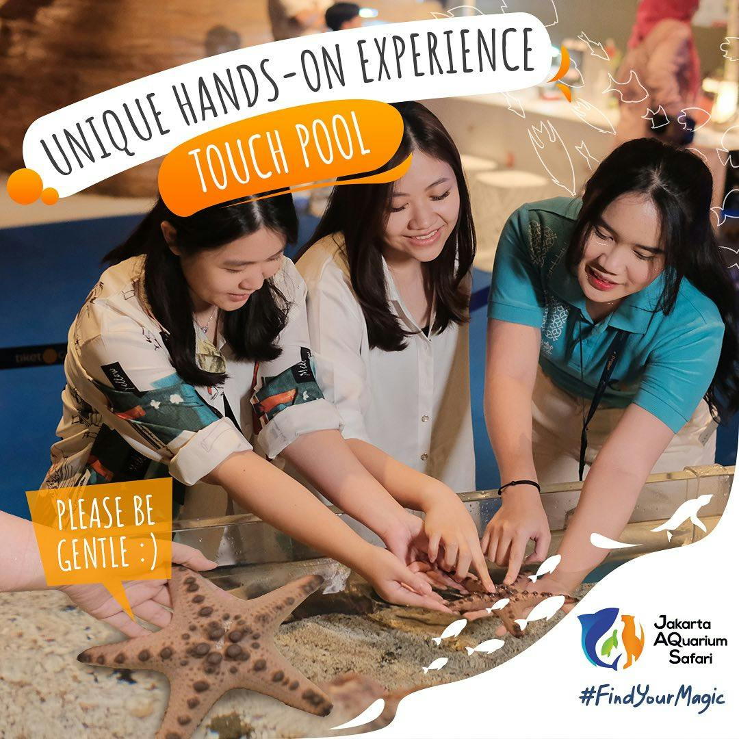 Jakarta Aquarium Safari Tickets Discount