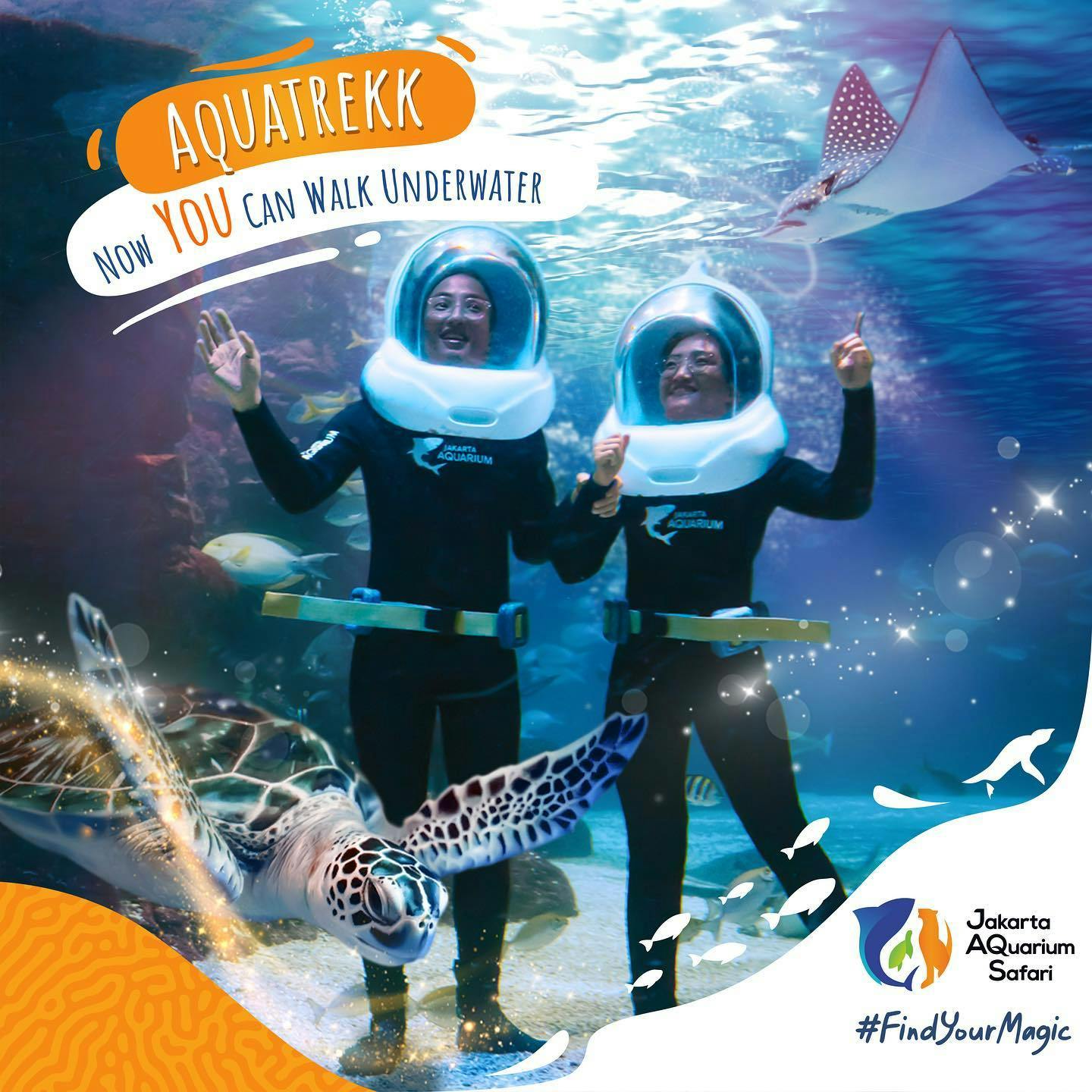 Jakarta Aquarium Safari Tickets Thrillark