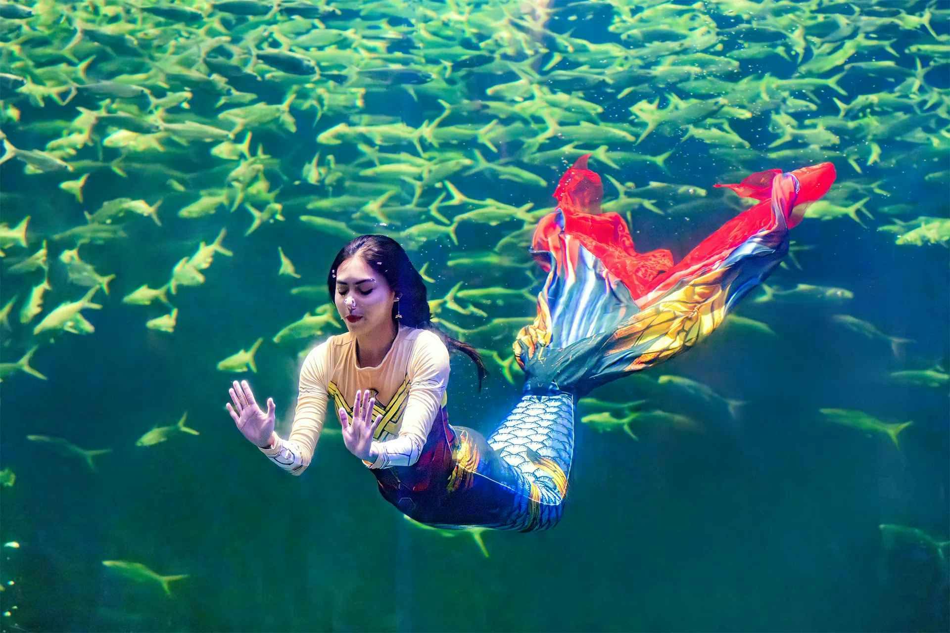 Ocean Dream Samudra - Ancol Tickets