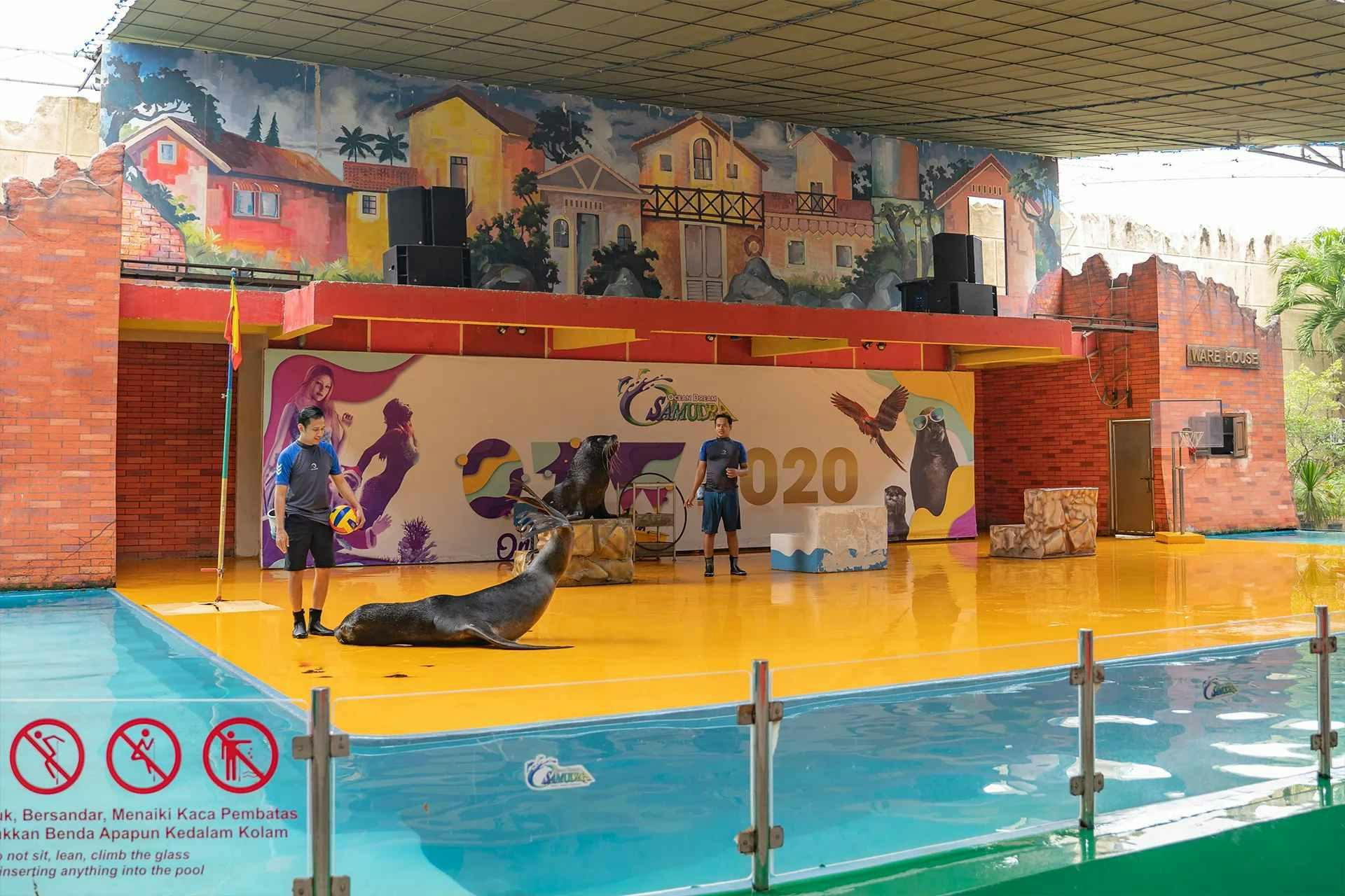 Ocean Dream Samudra - Ancol Tickets Discount