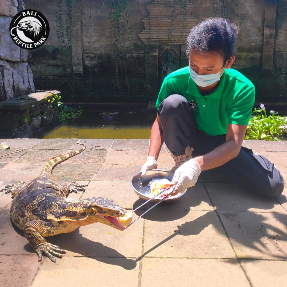 Bali Reptile Park Tickets 