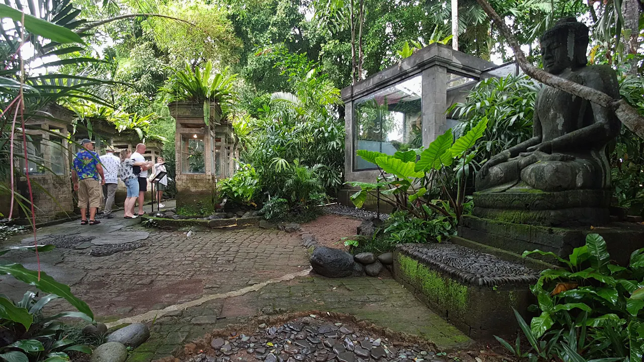 Bali Reptile Park Tickets