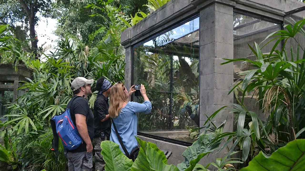 Bali Reptile Park Tickets