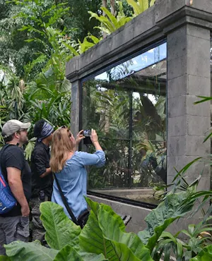 Bali Reptile Park Tickets