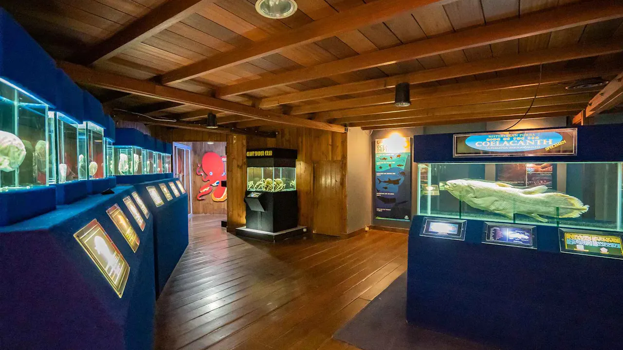 Sea World Ancol Tickets Price