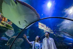 Sea World Ancol Tickets