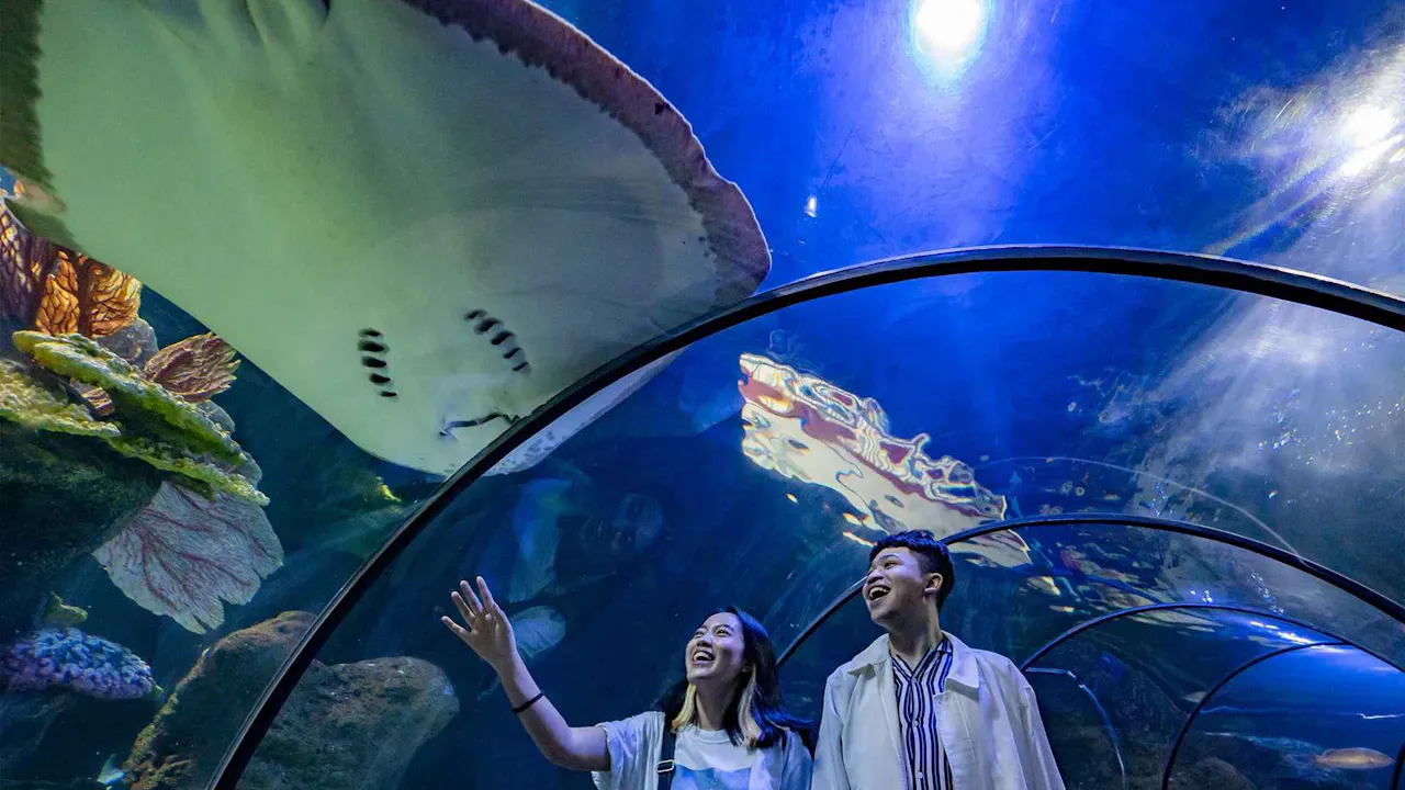 Sea World Ancol Tickets Discount
