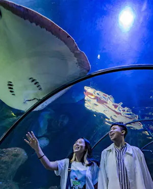 Sea World Ancol Tickets