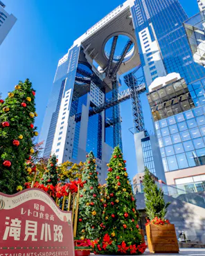 Umeda Sky Building Observatory Tickets