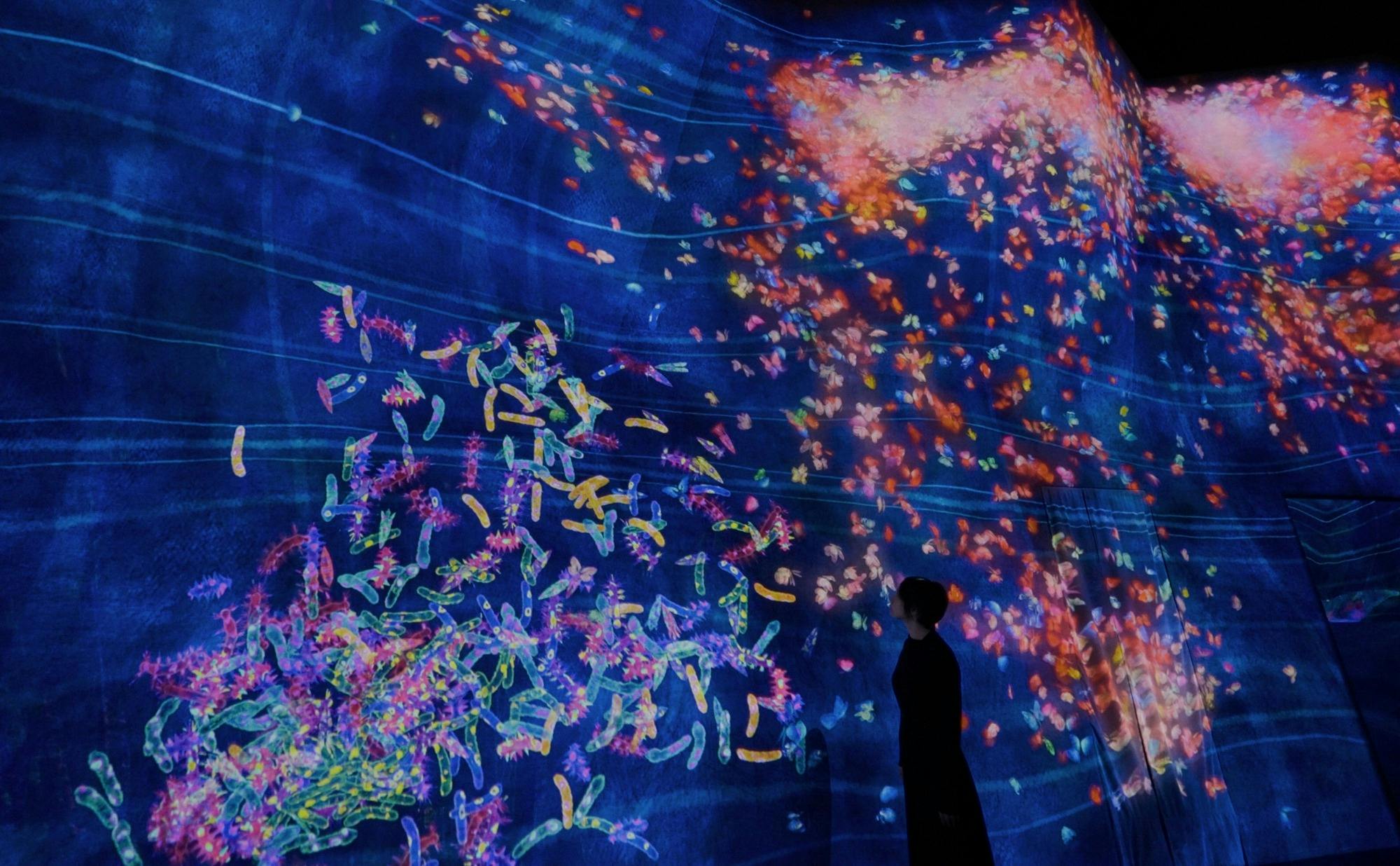 Japan TeamLab Planets TOKYO Ticket Location