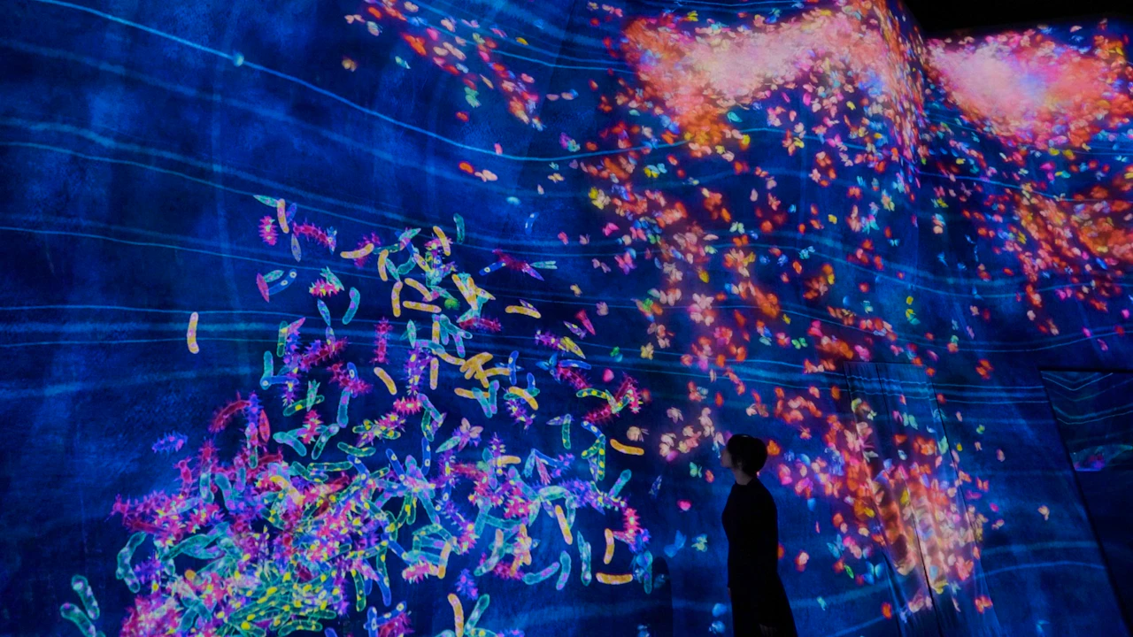 Japan TeamLab Planets TOKYO Ticket Location