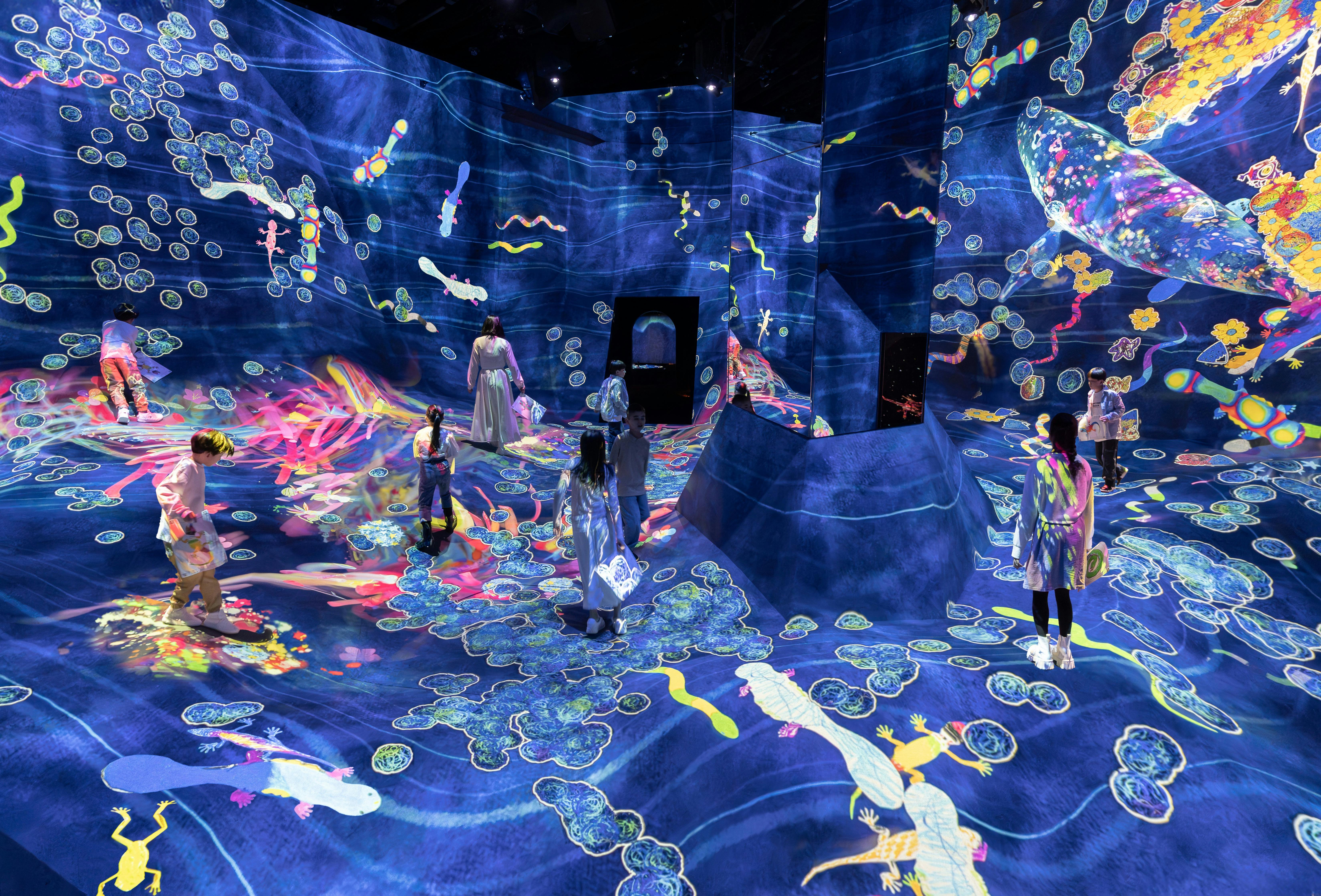 Japan TeamLab Planets TOKYO Ticket Review