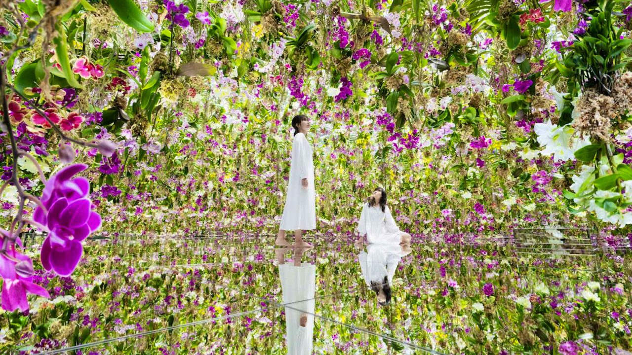 Japan TeamLab Planets TOKYO Ticket Ticket