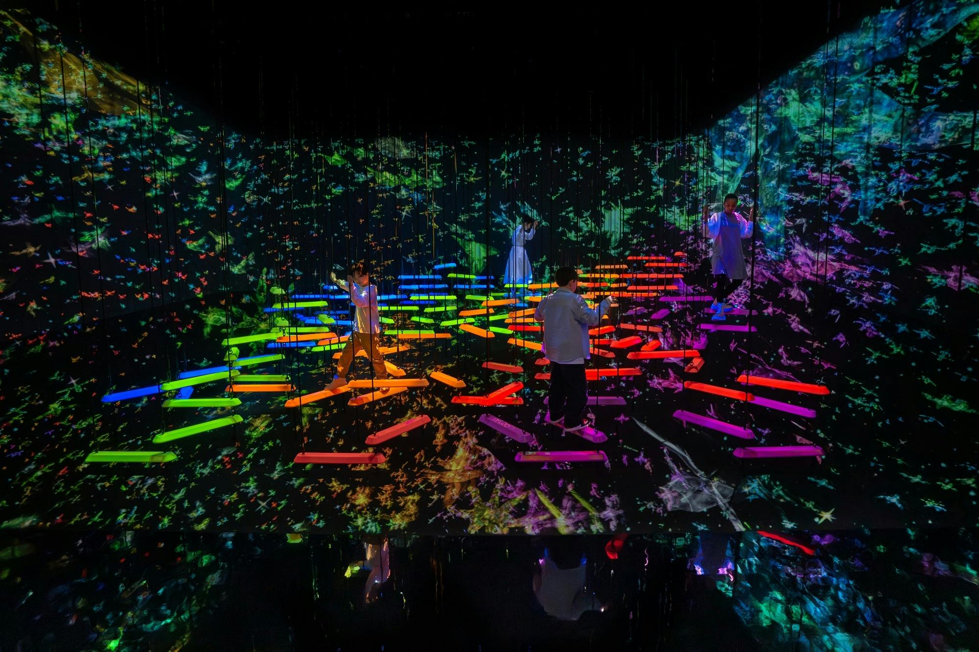 Japan TeamLab Planets TOKYO Ticket Category