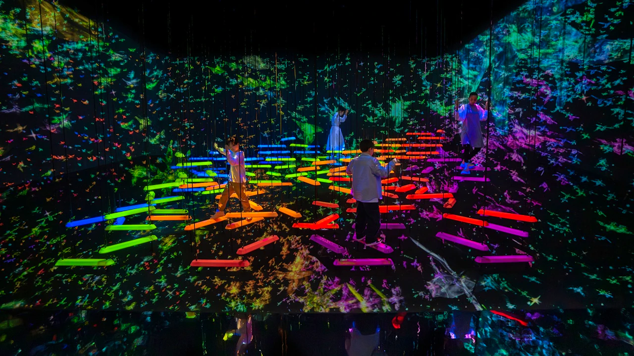 Japan TeamLab Planets TOKYO Ticket Category
