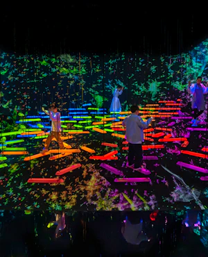 Japan TeamLab Planets TOKYO Ticket