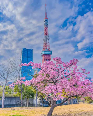 Tokyo Tower Observatory Tickets