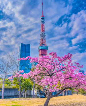 Tokyo Tower Observatory Tickets